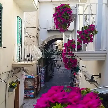 Le Cinque Lune Bed and breakfast Vieste